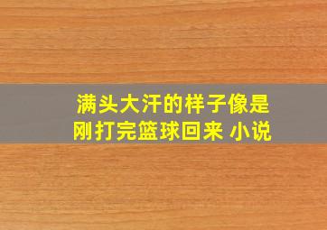 满头大汗的样子像是刚打完篮球回来 小说